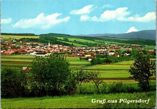 49583 - Burgenland - Pilgersdorf , Panorama - gelaufen 1978