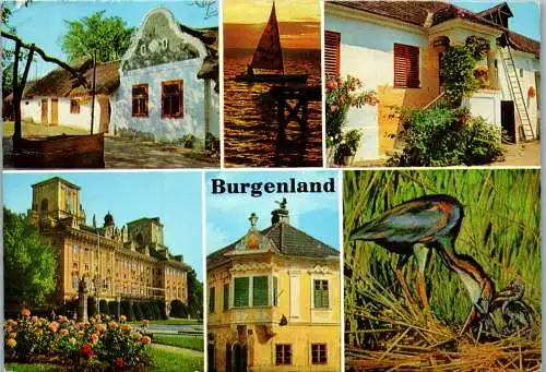 49602 - Burgenland - Neusiedlersee , Mehrbildkarte - gelaufen