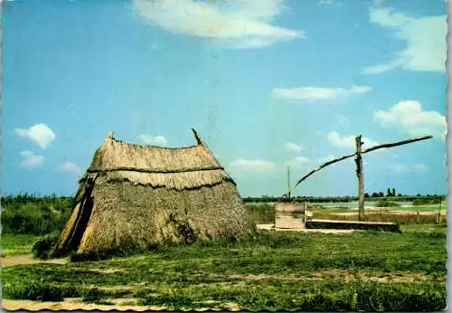 49607 - Burgenland - Hirtenhütte , mit Brunnen im Naturschutzgebiet - gelaufen 1971