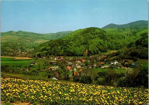 49634 - Burgenland - Stuben , Panorama - gelaufen