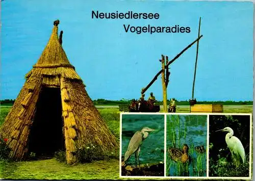 49662 - Burgenland - Neusiedlersee , Vogelparadies - gelaufen 1984