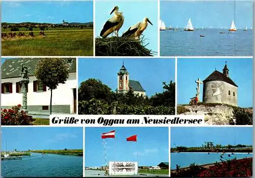 49716 - Burgenland - Oggau , Neusiedlersee , Mehrbildkarte - gelaufen 1984