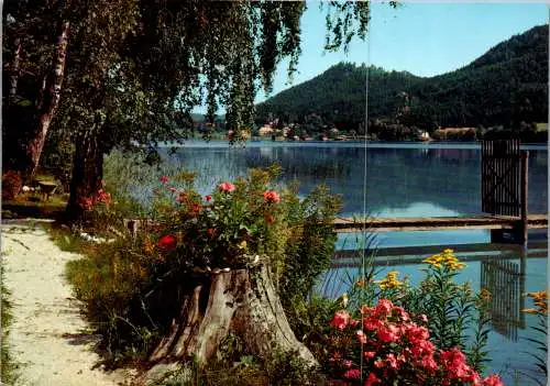 49732 - Kärnten - Klopeinersee , mit Georgiberg , Georgibergl - gelaufen