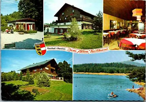 49749 - Kärnten - Pörtschach , Gasthof Pension Zum Alten Forsthaus am Forstsee , Bes. Hedy Walcher - gelaufen