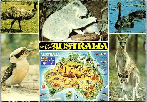 49811 - Australien - Tiere , Mehrbildkarte - gelaufen 1982