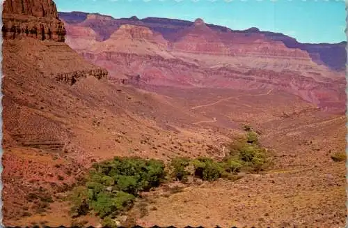 49812 - USA - Indian Garden , Arizona , Grand Canyon National Park - gelaufen 1983