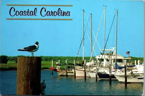 49814 - USA - South Carolina , Coastal Carolina - gelaufen 1994