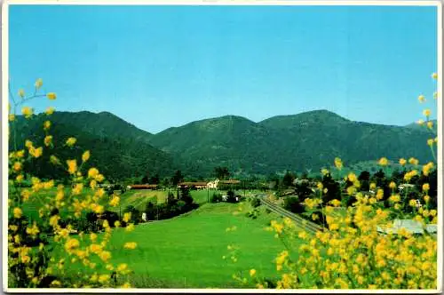 49815 - USA - Solvang , California , View - gelaufen 1981