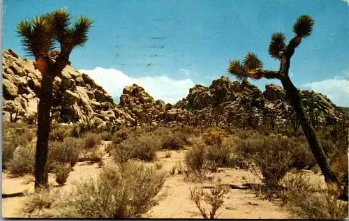 49816 - USA - California , Joshua Tree National Monument - gelaufen 1962