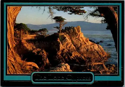 49819 - USA - California , Carmel , The Lone Cypress - gelaufen 1994