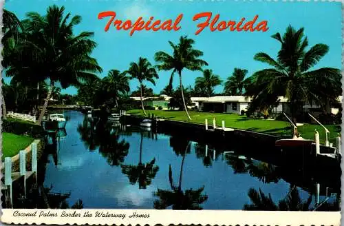 49852 - USA - Florida , Coconut Palms Border the Waterway Homes - gelaufen 1979