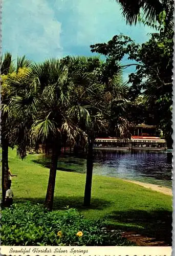 49855 - USA - Florida , Silver Springs - gelaufen