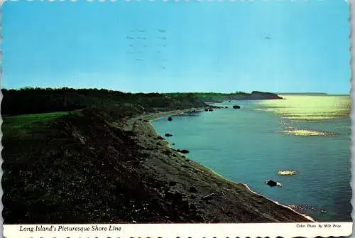 49873 - USA - Long Island , New York , Picturesque Shore Line - gelaufen 1977