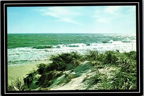 49892 - USA - Long Island , New York , Sand Dunes and Surf - nicht gelaufen