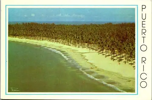 49974 - Puerto Rico - Playa de Luquillo , View - nicht gelaufen