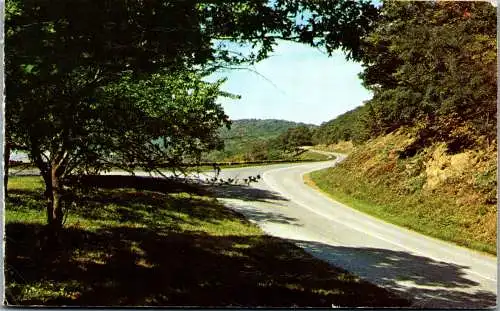 50009 - USA - Virginia , Shenandoah National Park . Looking from Gooney Run - gelaufen