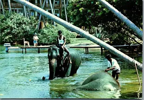 50022 - Sri Lanka - Bentota , Elephant Bathing - gelaufen