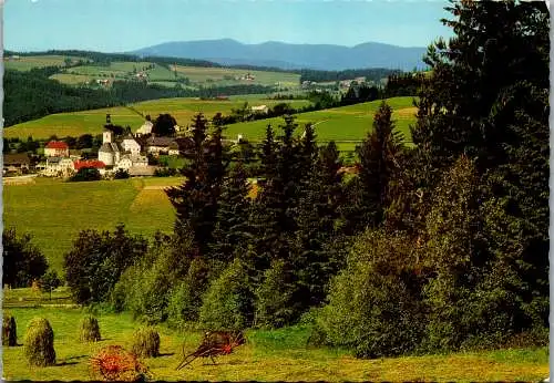 50068 - Steiermark - St. Jakob im Walde , Panorama - gelaufen