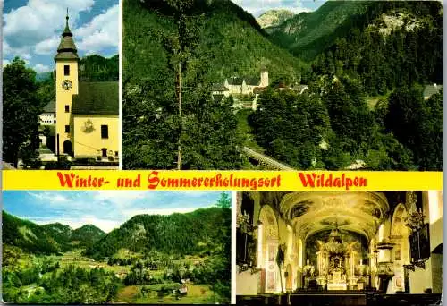 50084 - Steiermark - Wildalpen , Mehrbildkarte - gelaufen 1978