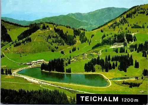 50106 - Steiermark - Teichalm , Gasthof Vorauer Zum Teichwirt , Panorama - nicht gelaufen