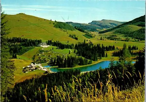 50107 - Steiermark - Teichalm , mit Heulantsch , Plankogel u. Sommeralm - gelaufen 1981