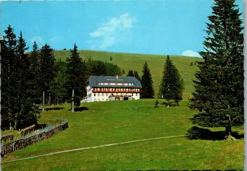 50108 - Steiermark - Teichalm , Teichalpe , Gasthof Pension Pierer - gelaufen 1974