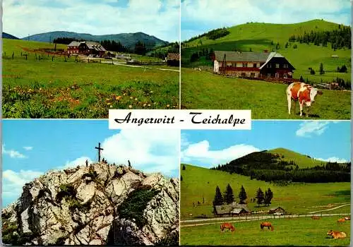 50109 - Steiermark - Teichalm , Teichalpe , Gasthof Pension Angerwirt , Hochlantschgipfel , Osser - gelaufen 1974