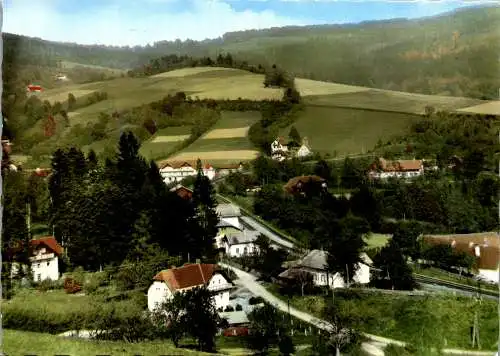 50119 - Steiermark - Tauchen , bei Mönichkirchen , Panorama - gelaufen 1966