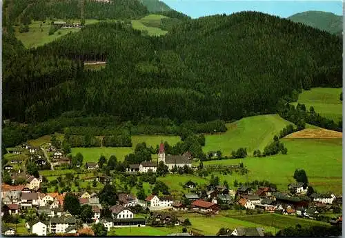 50123 - Steiermark - Turnau , Panorama - gelaufen 1981