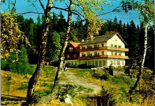 50217 - Steiermark - Schaueregg , bei Mönichkirchen am Wechsel , Gasthof Tränk-Törl , Tränktörl , Fam. Gremsl - 1974