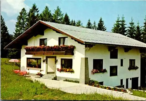 50233 - Steiermark - Ramsau , Haus am Walde , Vorberg - gelaufen 1982