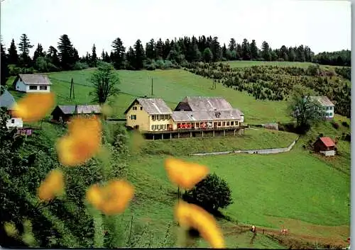 50244 - Steiermark - St. Kathrein am Offenegg , Gasthof Eibisberg - gelaufen 1981