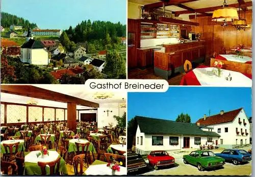 50253 - Steiermark - St. Lorenzen am Wechsel , Gasthaus Friedricjh Breineder , Auto , Mehrbildkarte - gelaufen 1980