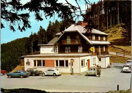 50301 - Steiermark - Steinhaus am Semmering , Gasthof Pension Pfaffensattel , Hilde Gansterer , Auto , VW Käfer - 1979