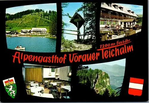 50340 - Steiermark - Teichalm , Gasthof Vorauer , Zum Teichwirt - gelaufen 1985