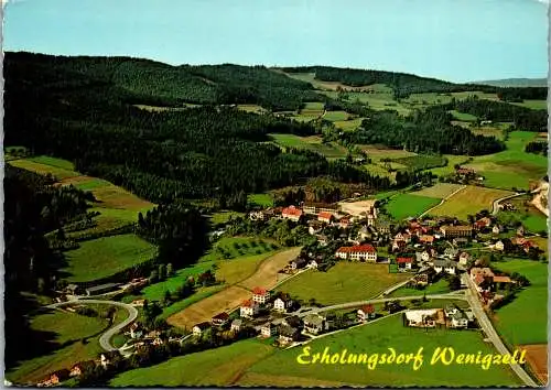 50391 - Steiermark - Wenigzell , Panorama - gelaufen 1977