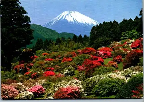 50429 - Japan - Fuji , Mount Fuji  - gelaufen 1985