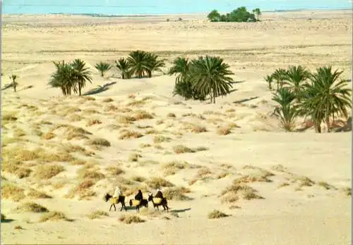 50461 - Tunesien - Le Grand Sud , View - gelaufen 1983