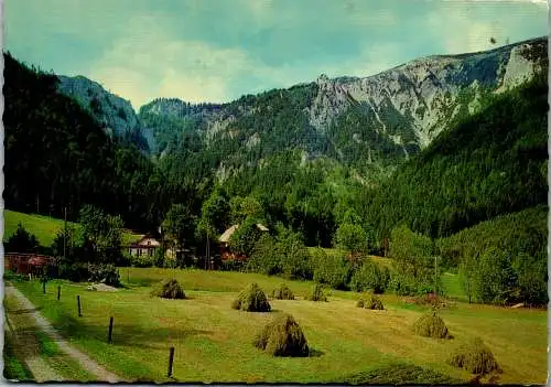 50518 - Steiermark - Neuberg , Oberwallner's Gastwirtschaft gegen Ausgang Schönhaltereck , Schneealpe - gelaufen