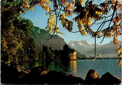 50523 - Schweiz - Lac Leman , Le Chateau de Chillon en automne - gelaufen 1967