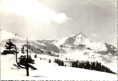 50590 - Steiermark - Donnersbach , Planneralm , Schoberspitze - gelaufen 1966