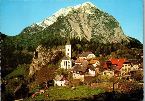 50599 - Steiermark - Pürgg , im Ennstal mit Grimming - gelaufen 1971