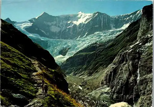 50635 - Schweiz - Grindelwald , Am Wege Pfingstegg Stieregg , Fiescherwand - gelaufen 1978