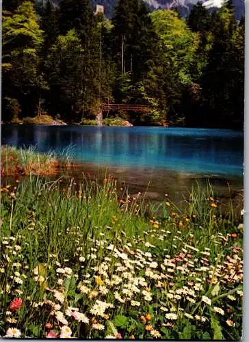 50644 - Schweiz - Bern , Blausee , Lac Bleu , Berner Oberland - gelaufen 1986