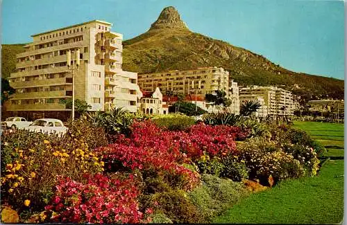 50660 - Südafrika - Kapstadt , Lion's Head viewed from the lawns at Sea Point - gelaufen