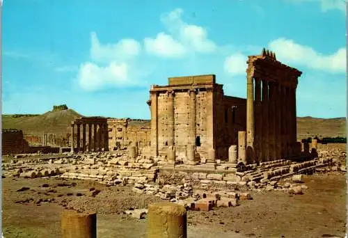 50755 - Syrien - Palmyra , Baaltempel - gelaufen 1980