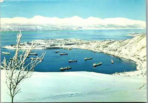 50790 - Norwegen - Narvik , Winter , Tramp Ships at the Fjord - gelaufen 1974