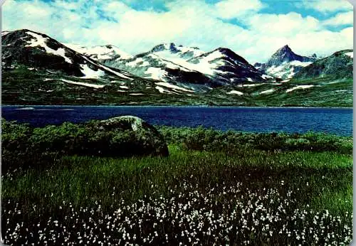 50810 - Norwegen - Tyin , Jotunheimen - gelaufen 1978