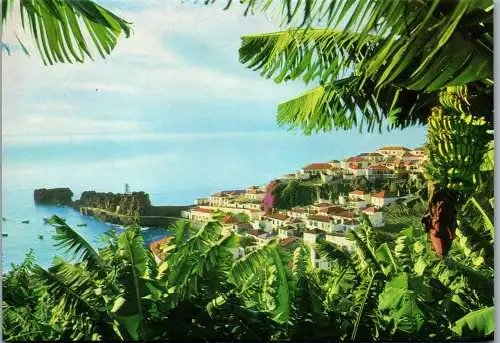 50830 - Portugal - Madeira , Camera de Lobos , aldeia piscatoria , Fischerdorf - gelaufen 1989