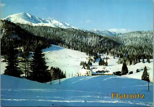 50856 - Kärnten - Flattnitz , Winter , Panorama - nicht gelaufen